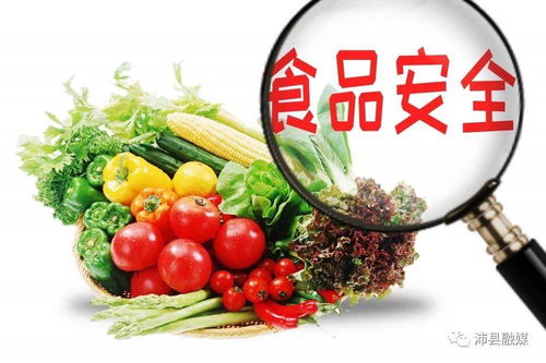 沛縣餐飲經營主體表彰名單公布，35家獲省級點贊